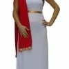 Déguisement De Romaine Femme Taille Xl