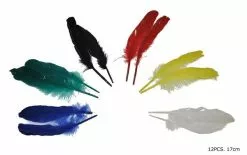 Lot Avec 12 Plumes D''indien