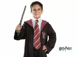 Kit Accessoires Harry Potter™ 2pcs