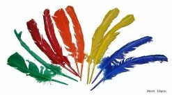Lot De 10 Plumes Grandes