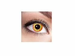 Lentilles De Contact Ork